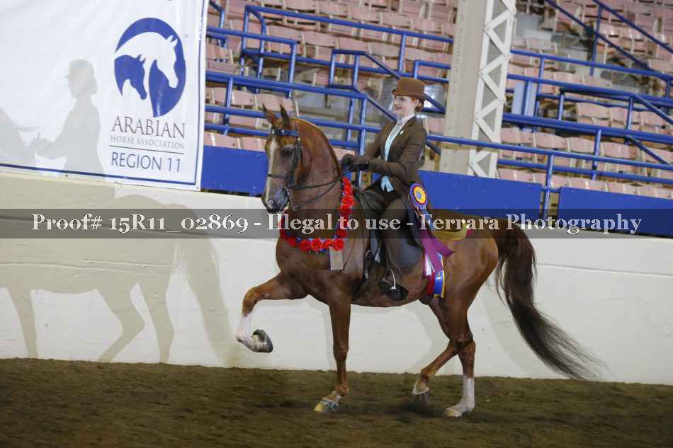 Proof 15R11_02869