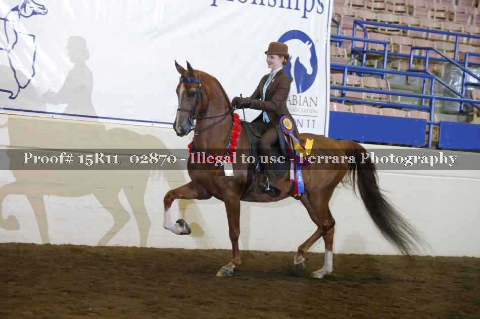 Proof 15R11_02870