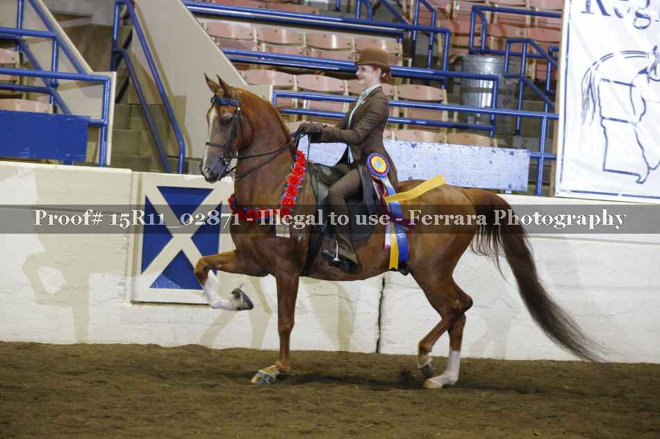 Proof 15R11_02871
