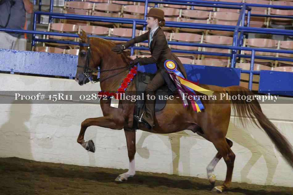 Proof 15R11_02872