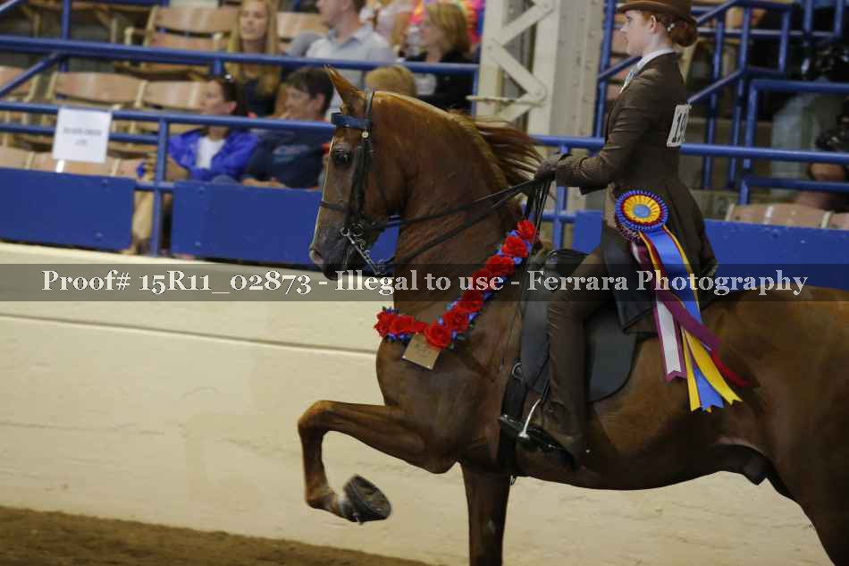 Proof 15R11_02873