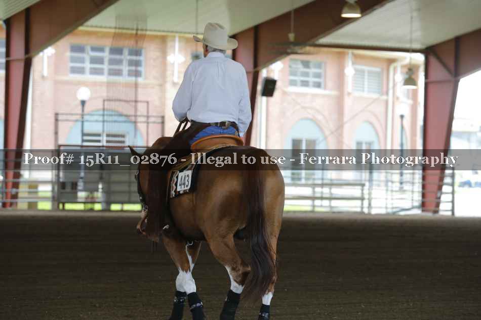 Proof 15R11_02876