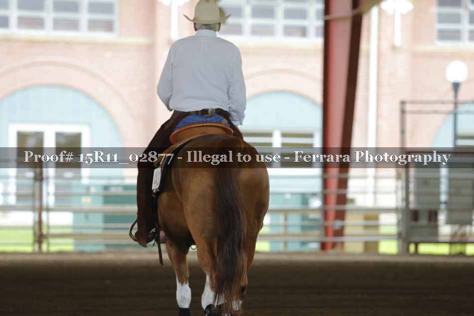 Proof 15R11_02877