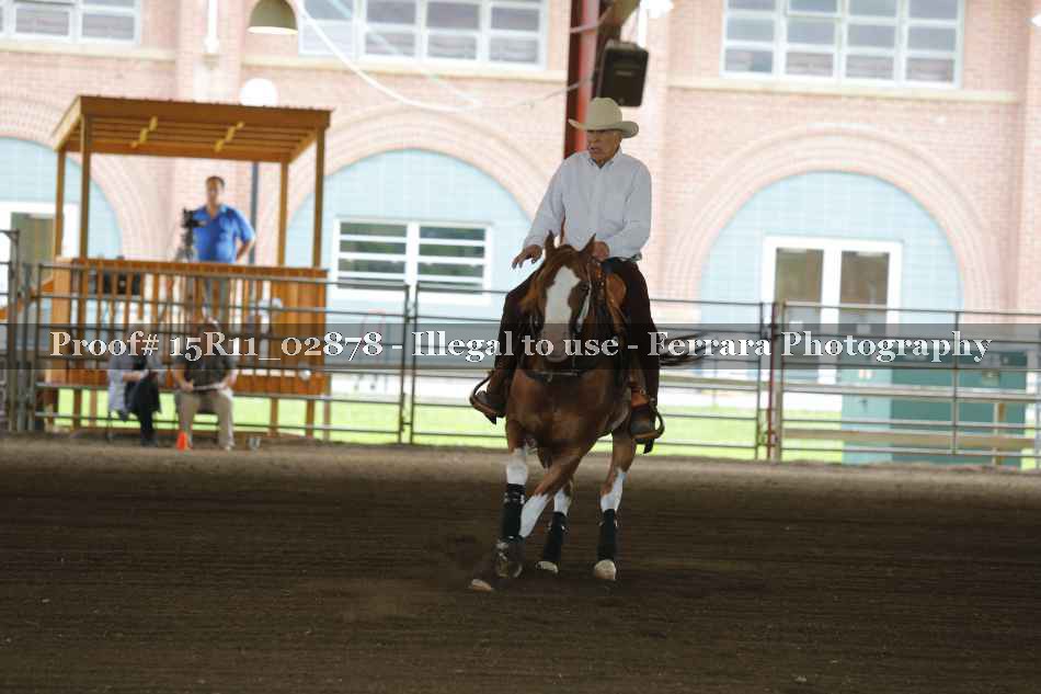 Proof 15R11_02878