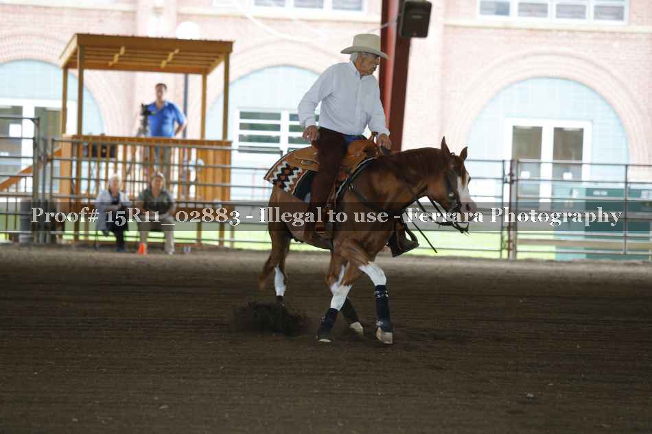 Proof 15R11_02883
