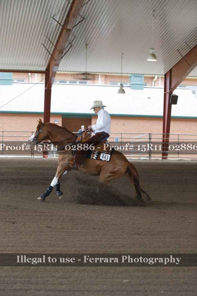 Proof 15R11_02886