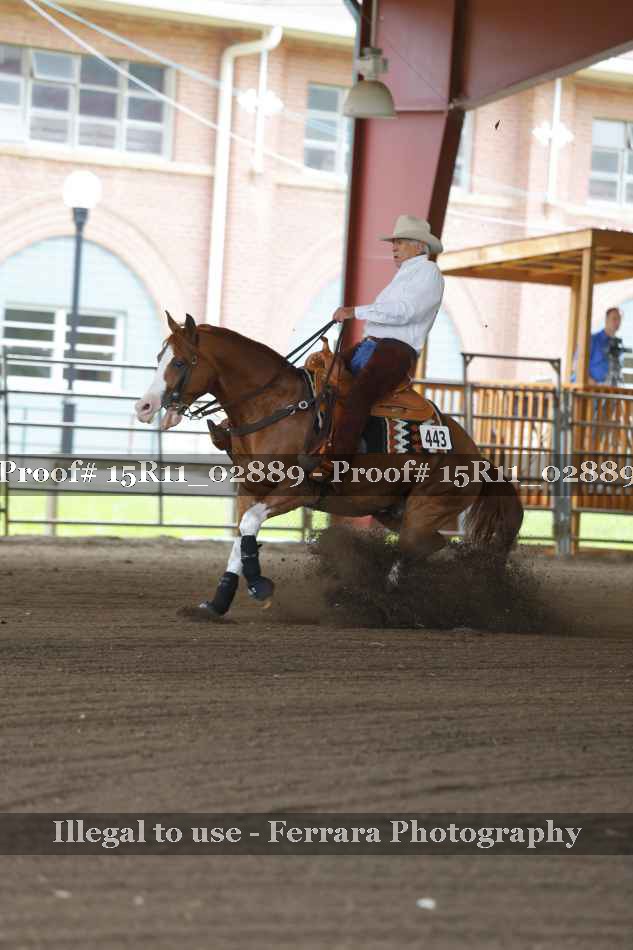 Proof 15R11_02889