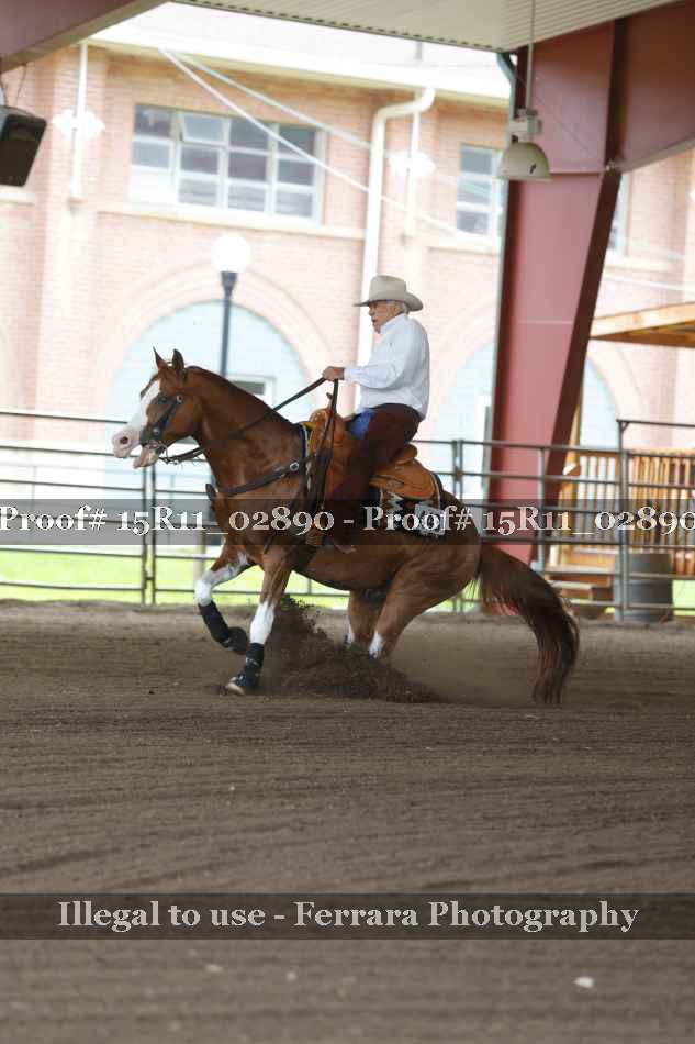 Proof 15R11_02890