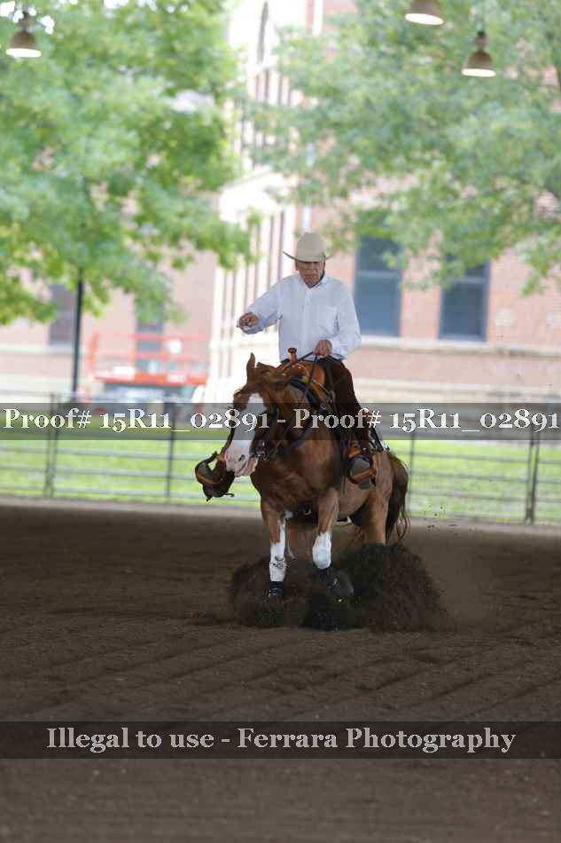 Proof 15R11_02891
