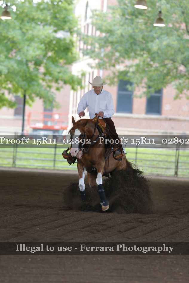 Proof 15R11_02892