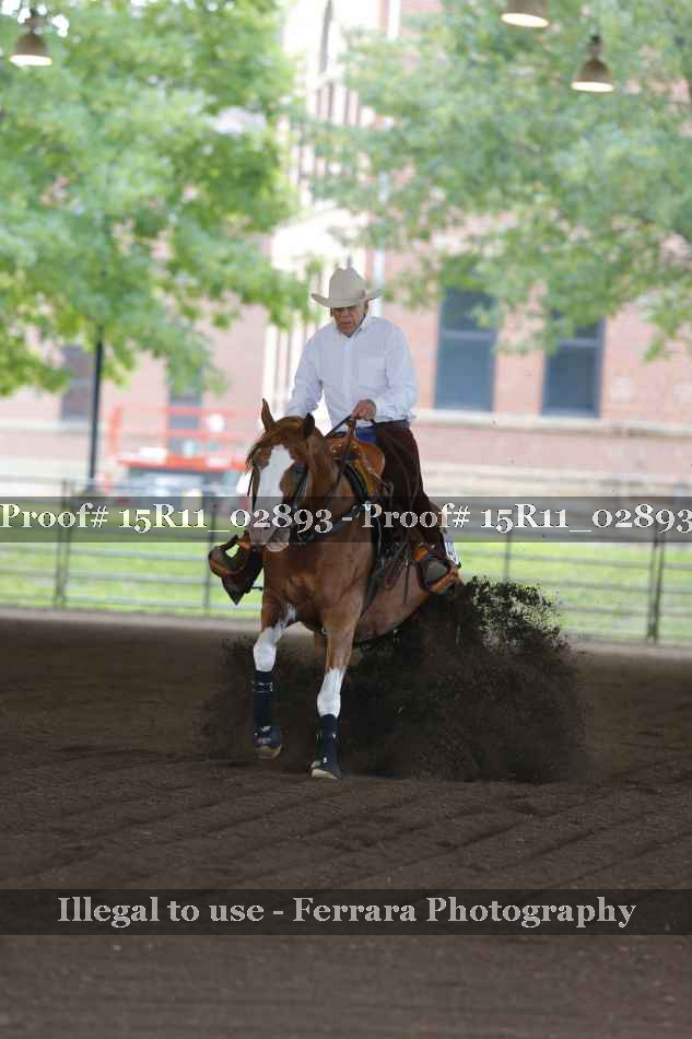 Proof 15R11_02893