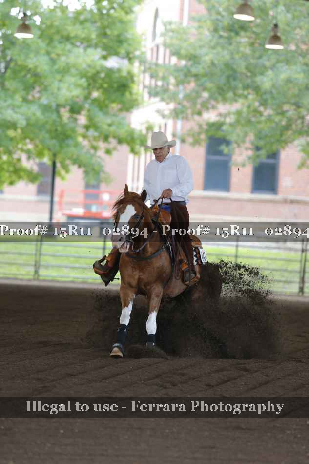 Proof 15R11_02894