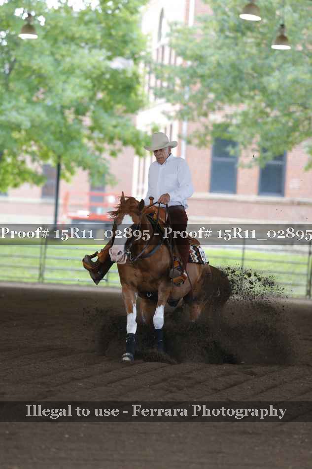 Proof 15R11_02895