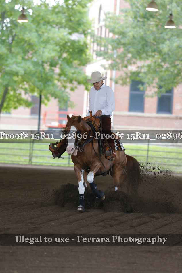 Proof 15R11_02896