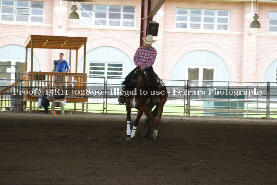 Proof 15R11_02899