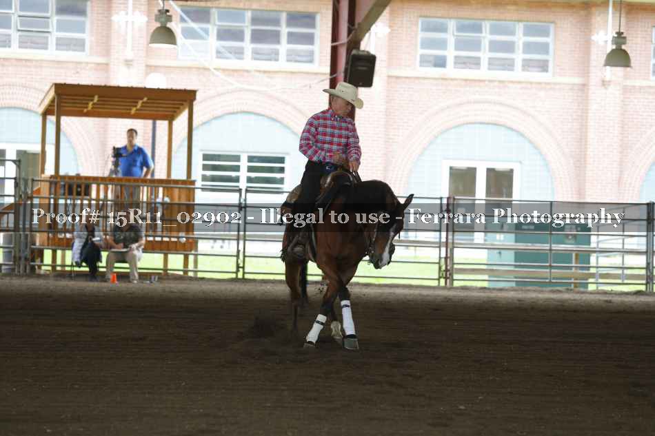 Proof 15R11_02902
