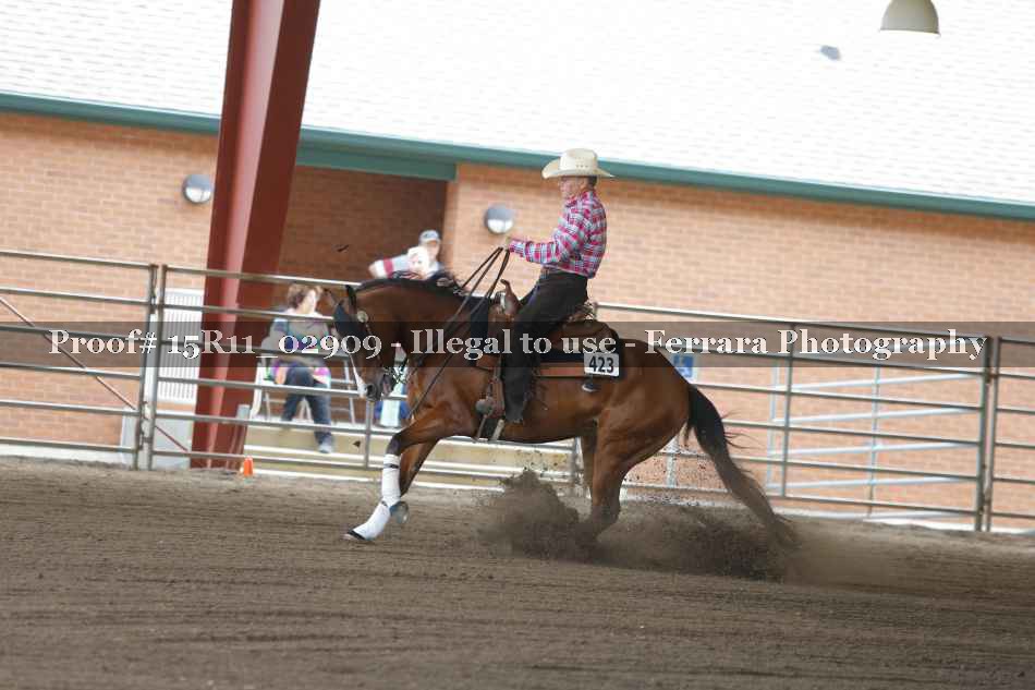 Proof 15R11_02909