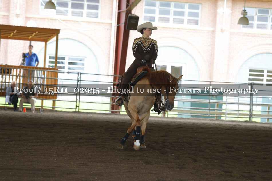 Proof 15R11_02935