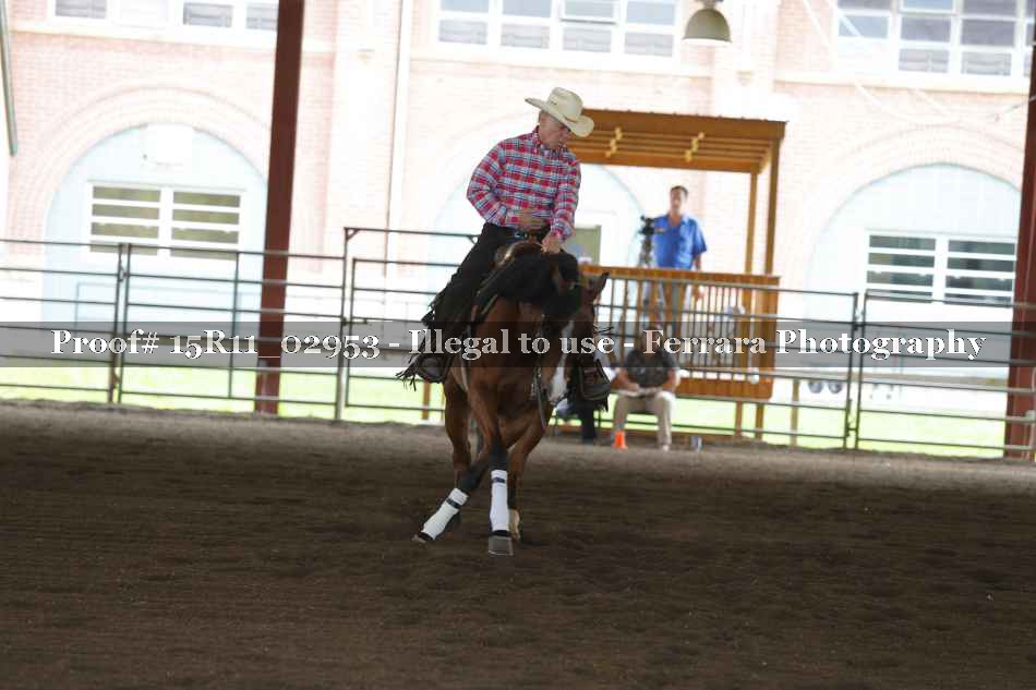 Proof 15R11_02953