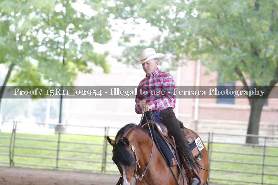 Proof 15R11_02954
