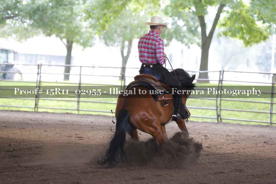 Proof 15R11_02955
