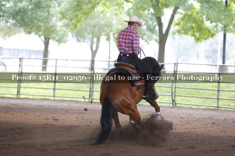 Proof 15R11_02956