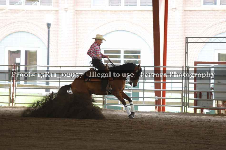 Proof 15R11_02957