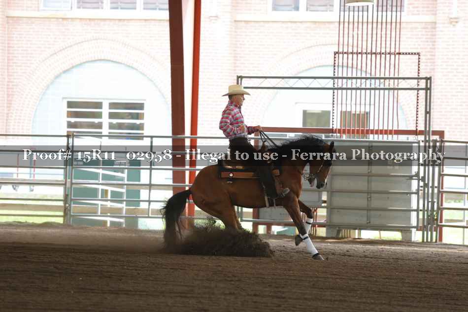 Proof 15R11_02958