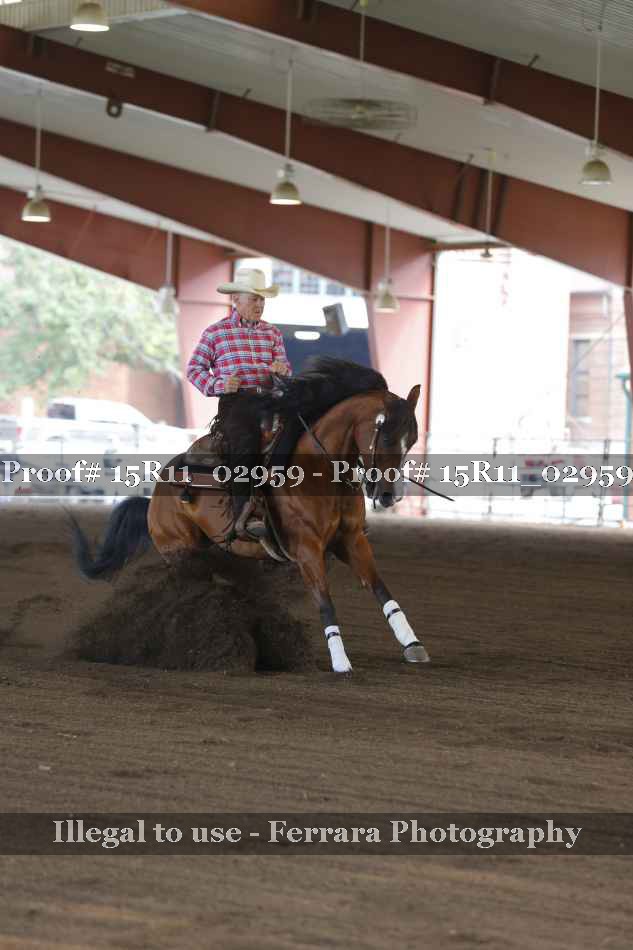 Proof 15R11_02959