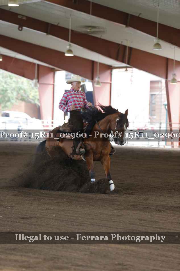 Proof 15R11_02960