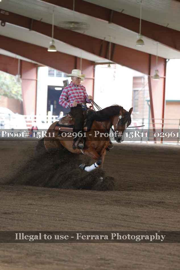 Proof 15R11_02961