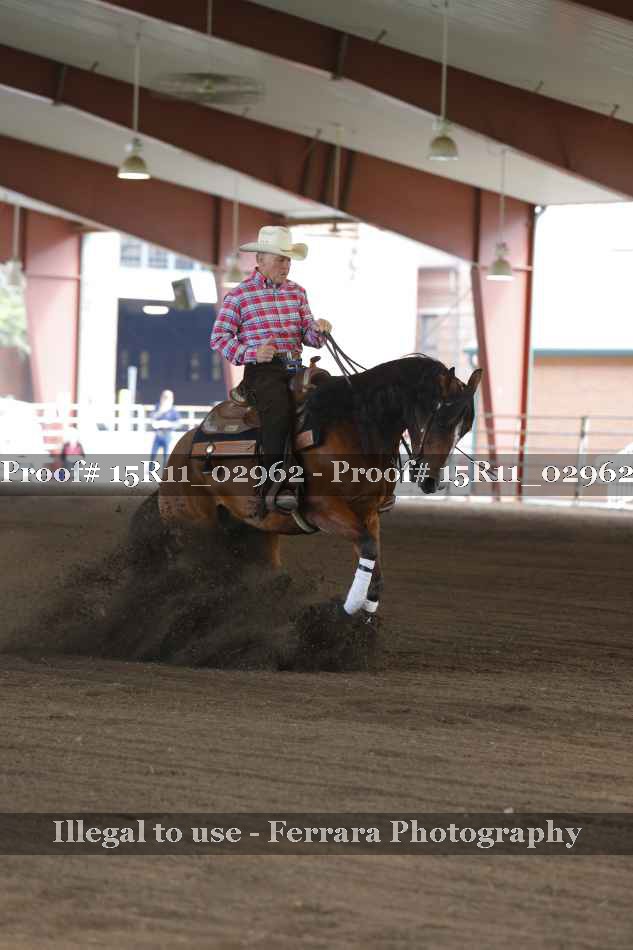 Proof 15R11_02962