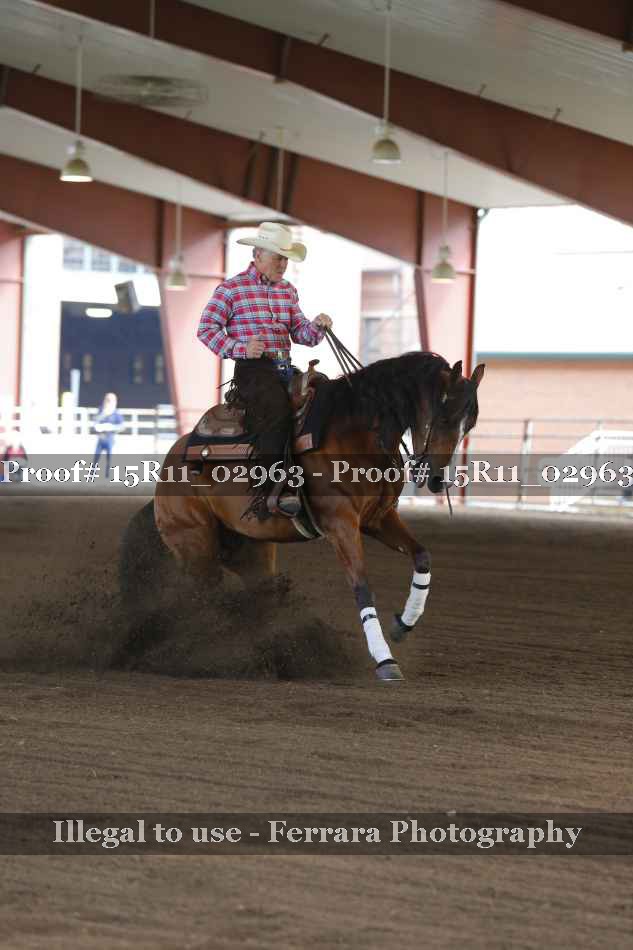 Proof 15R11_02963