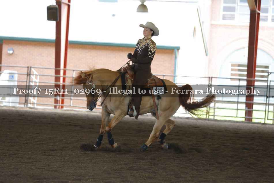 Proof 15R11_02969