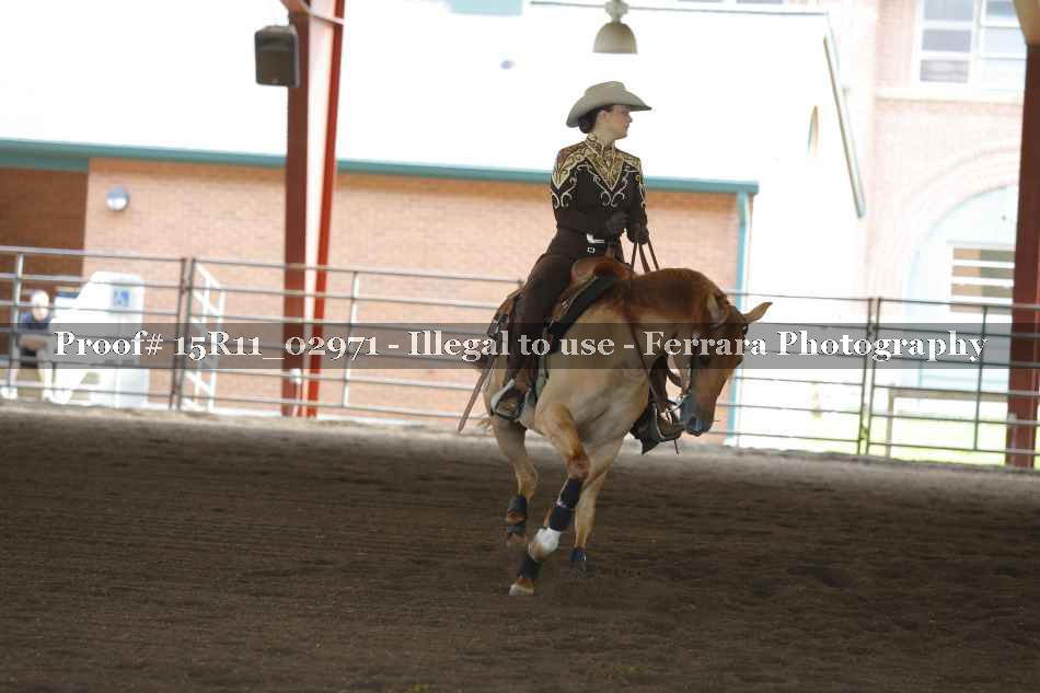 Proof 15R11_02971
