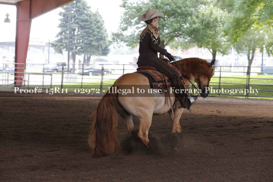 Proof 15R11_02972
