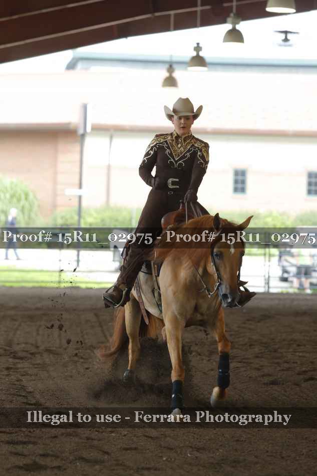 Proof 15R11_02975