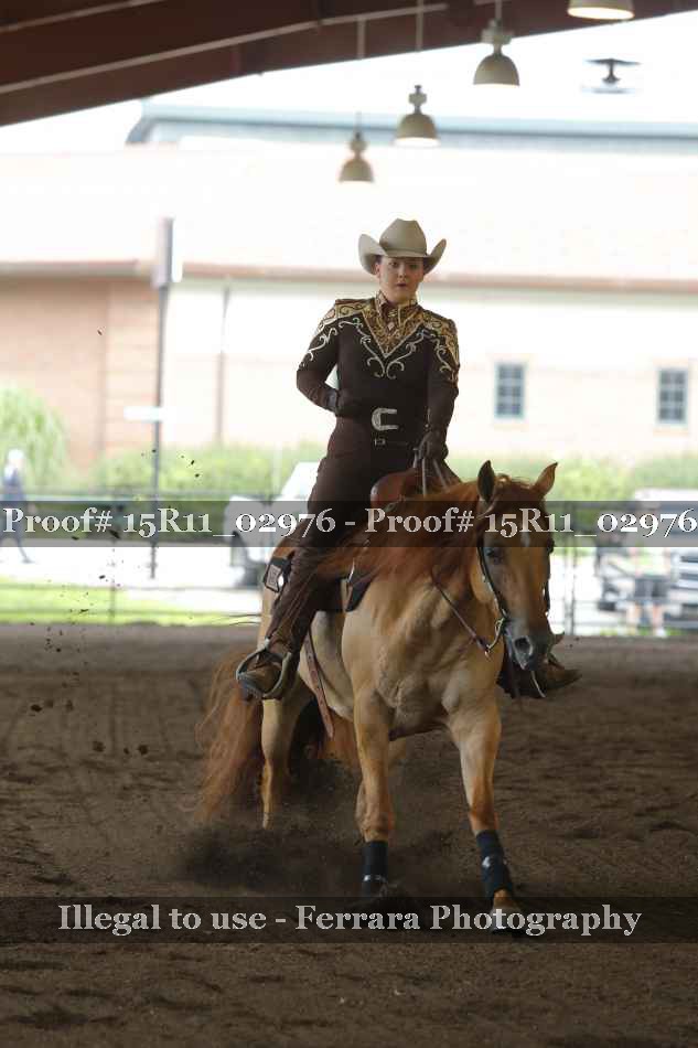 Proof 15R11_02976