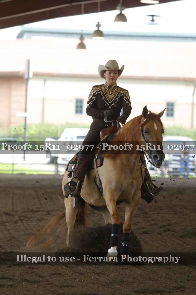 Proof 15R11_02977