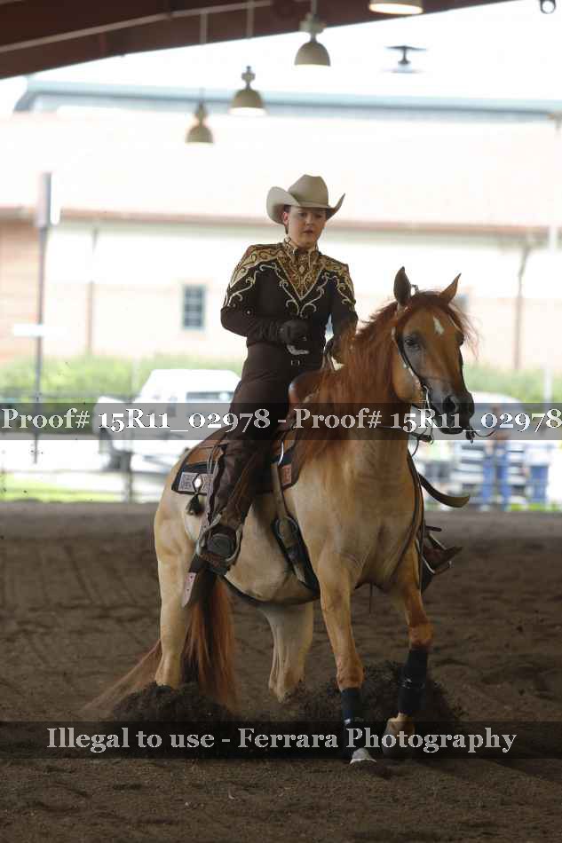 Proof 15R11_02978