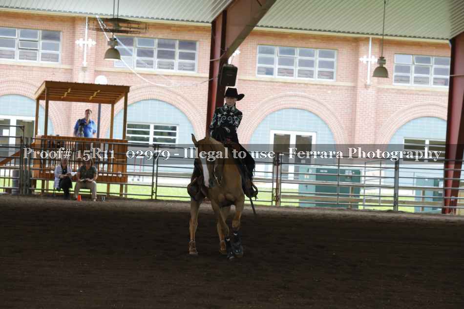 Proof 15R11_02979