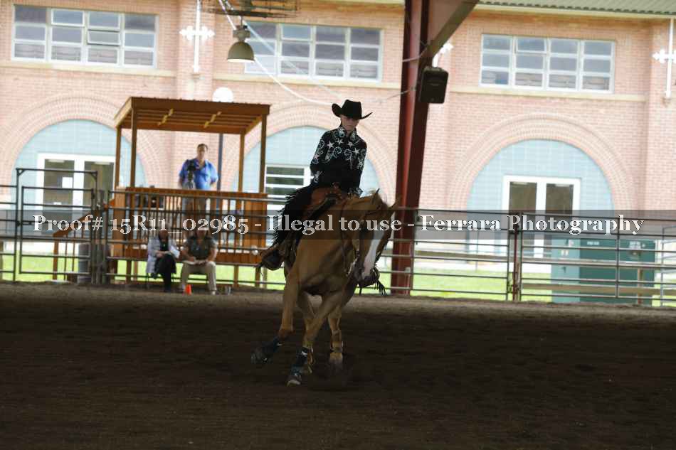 Proof 15R11_02985