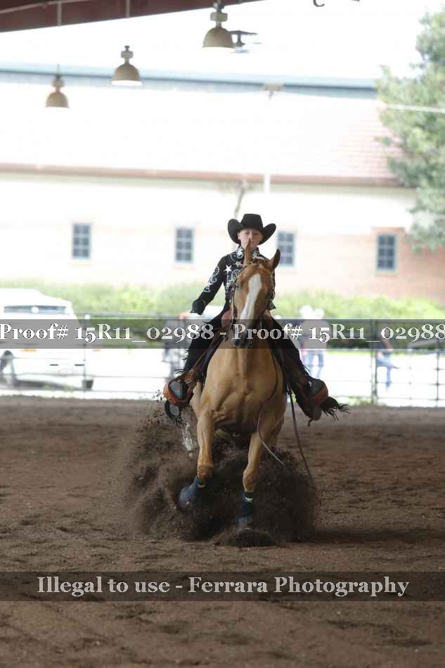 Proof 15R11_02988