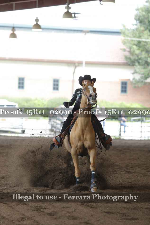 Proof 15R11_02990