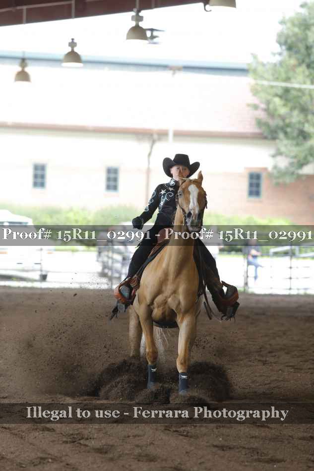 Proof 15R11_02991