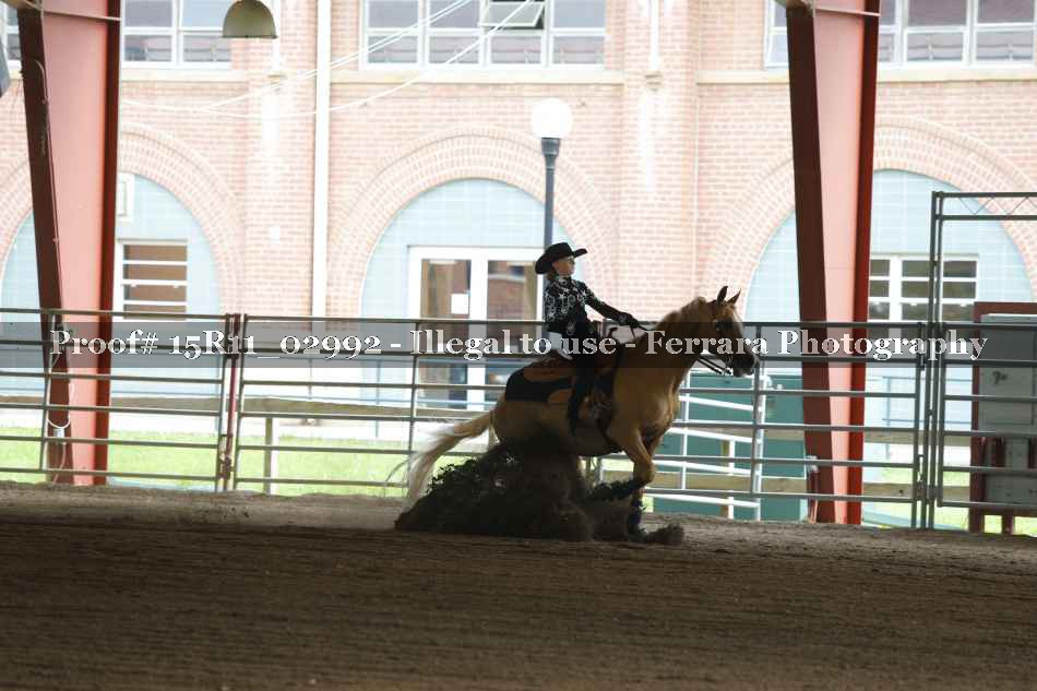 Proof 15R11_02992