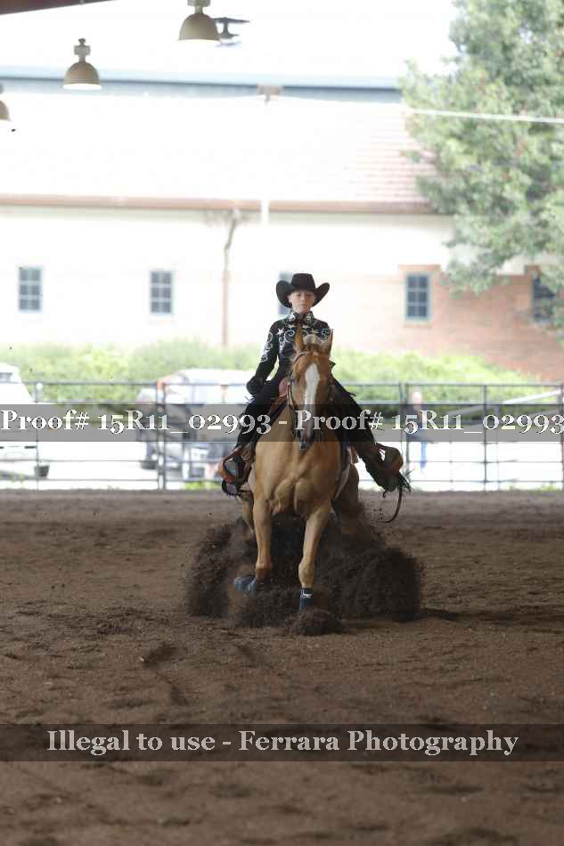 Proof 15R11_02993