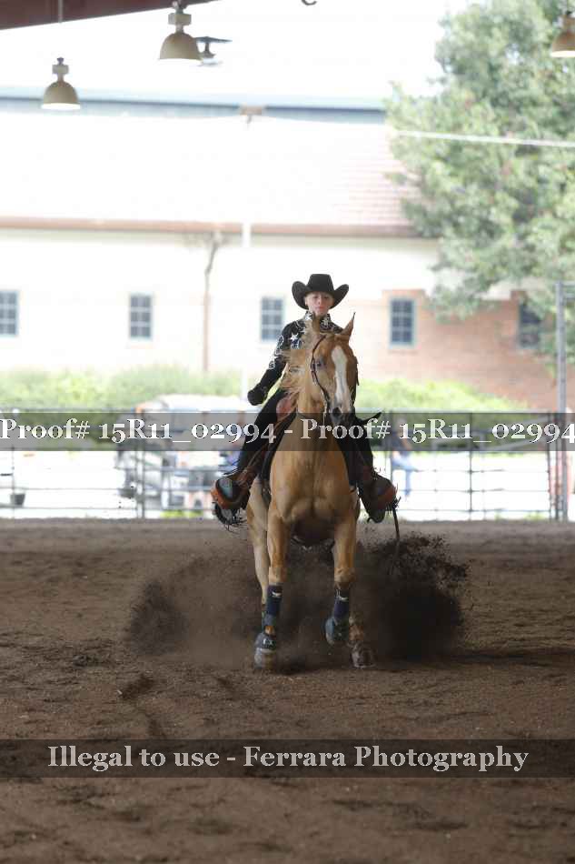 Proof 15R11_02994