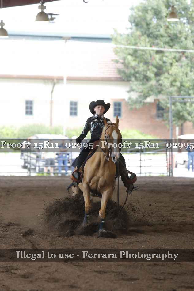 Proof 15R11_02995