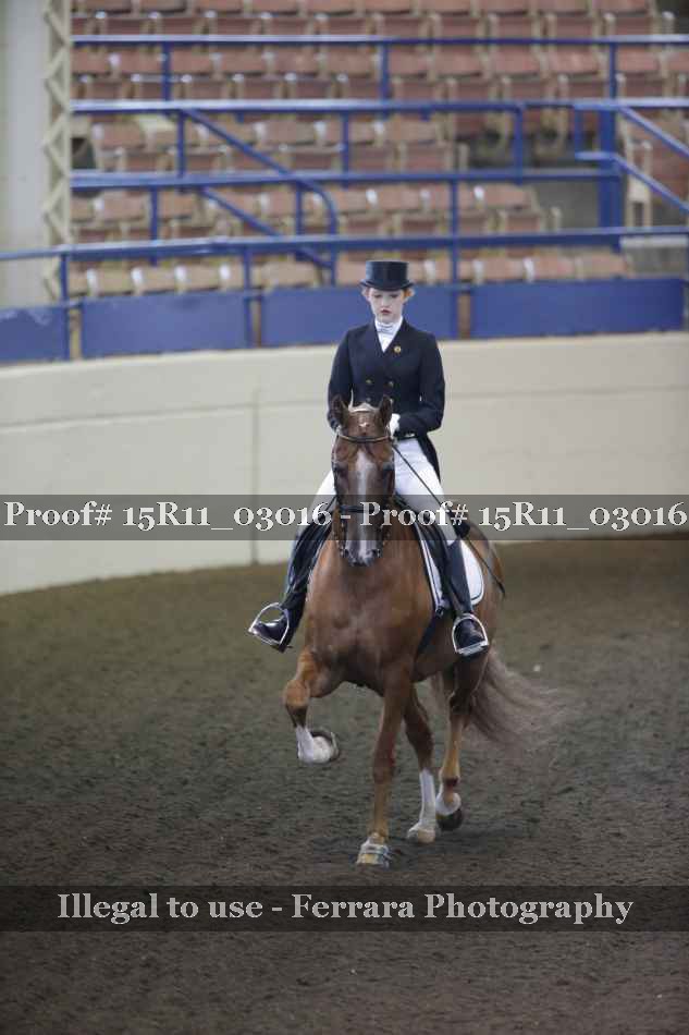 Proof 15R11_03016